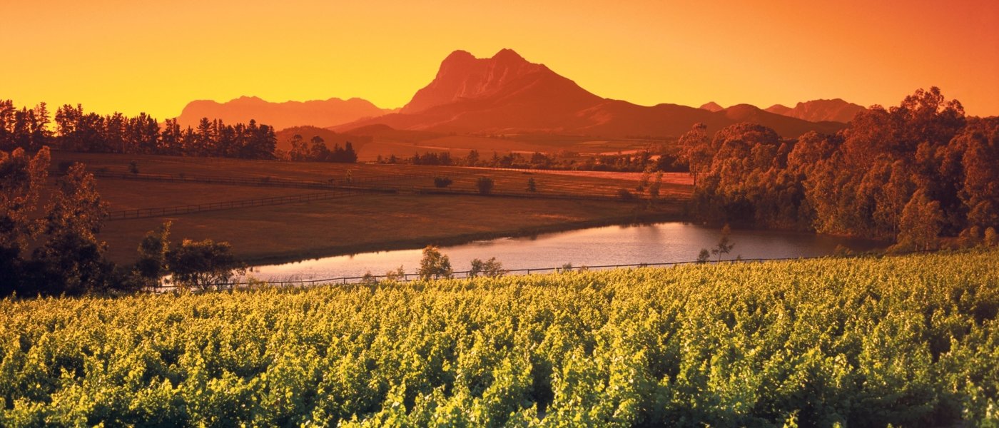 south africa wine tours - Wine Paths